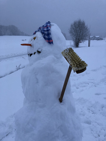 Ein künstlerisch wertvoller Schneemann. Mit Schrubberarm und Kopftuch. 